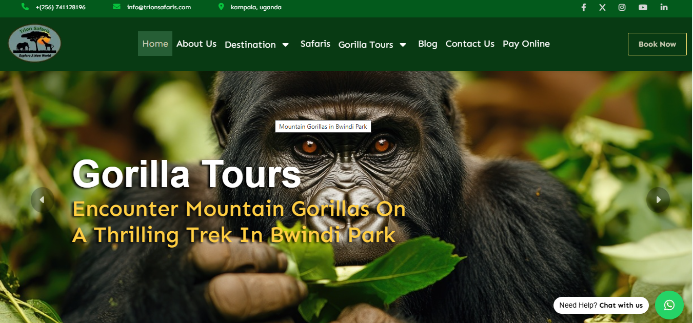Trion Safaris